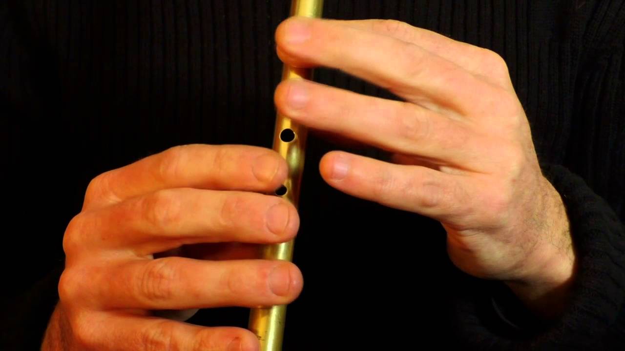 The Friendly Visit (Hornpipe) - Part 2 of 2 - learn the tin whistle