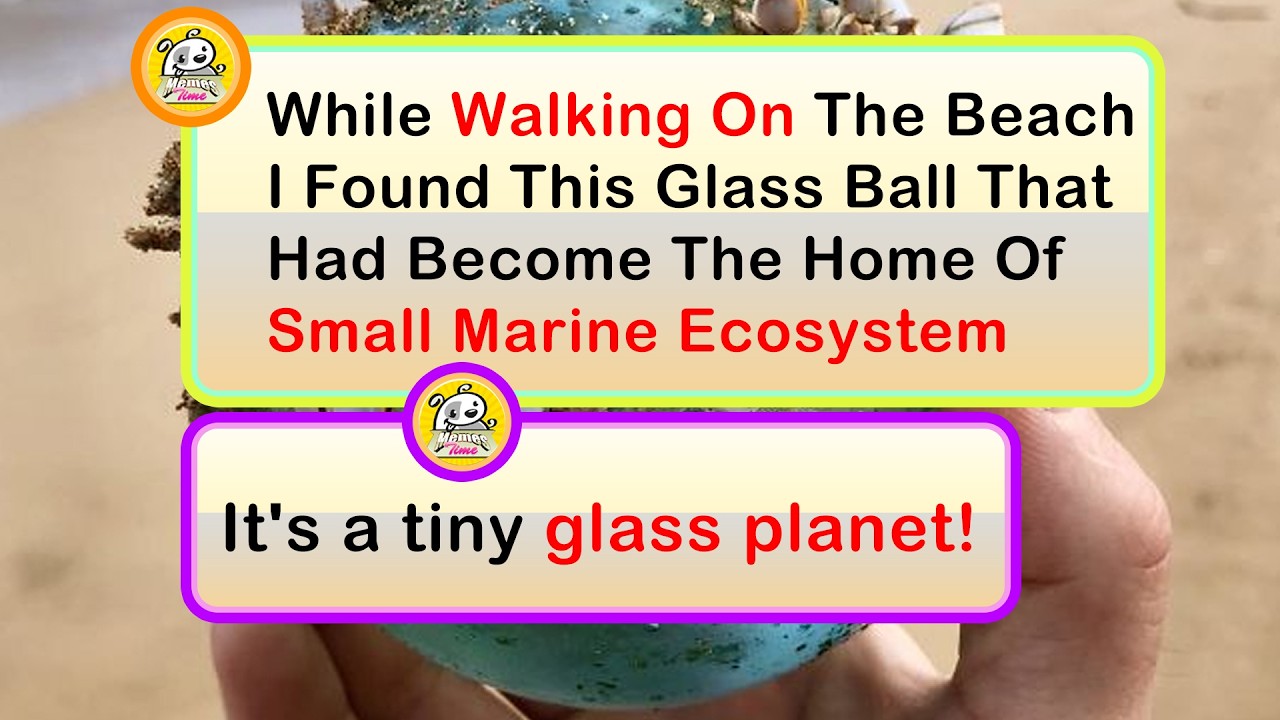 Unexpected Things People Found That No One Saw Coming