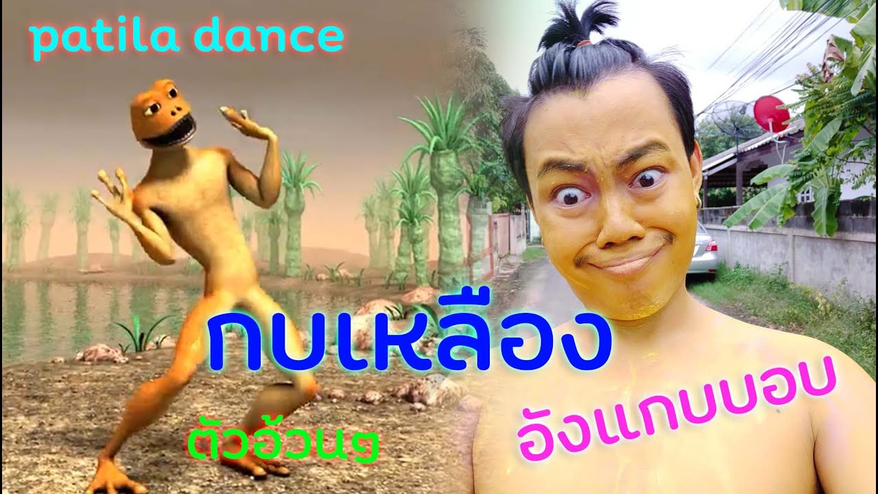 patila Cover dance | กบเหลืองตัวอ้วน 【จารย์ลี หมอผีเฮฮา】