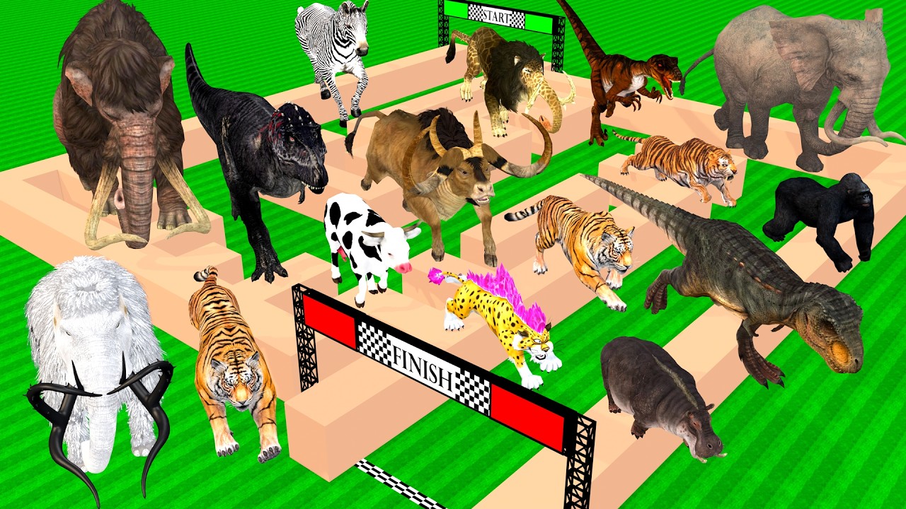 Incredible Animals Race vs Dinosaurs vs Prehistoric Mammals Speed Race Run: Who Will Win? ARBS
