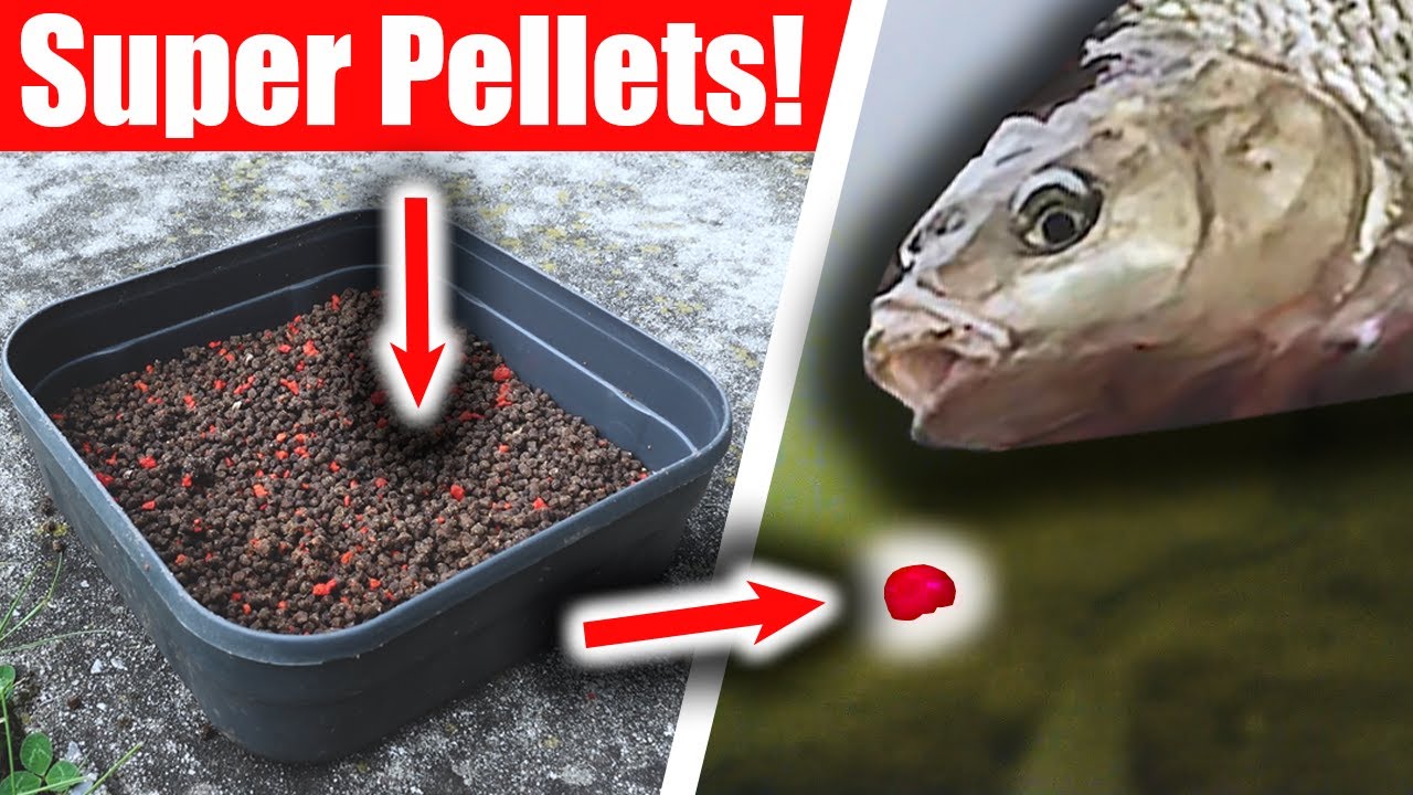 Tipps für die perfekten METHOD PELLETS + Unterwasser Livebisse