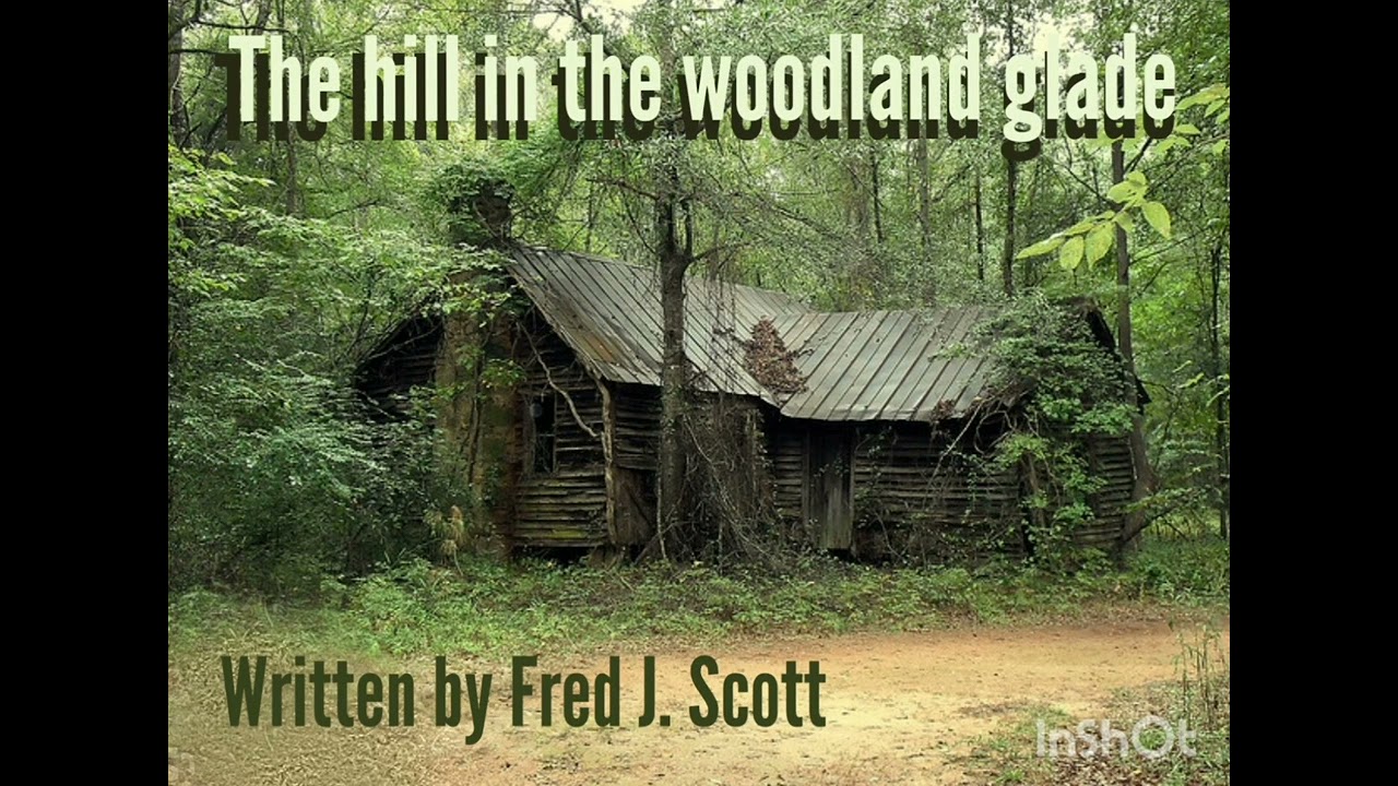 The hill in the Woodland Glade 