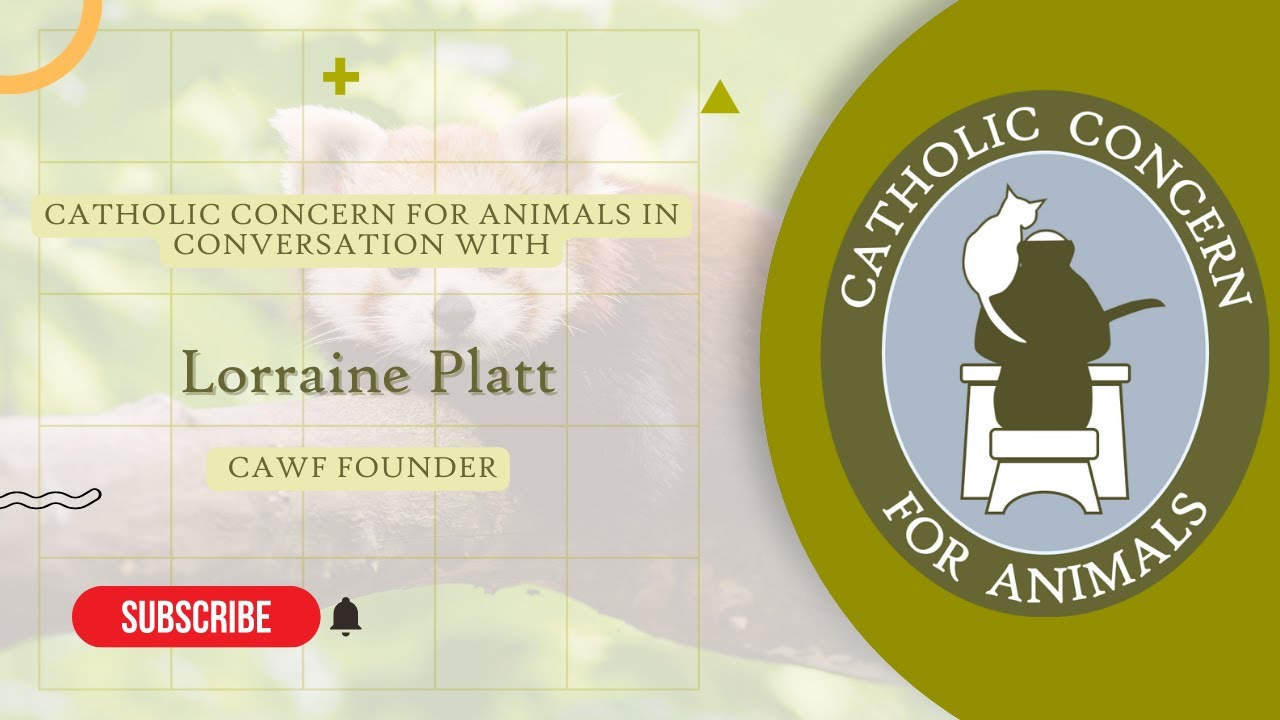 Catholic Concern for Animals in Conversation with Lorraine Platt, CAWF Founder