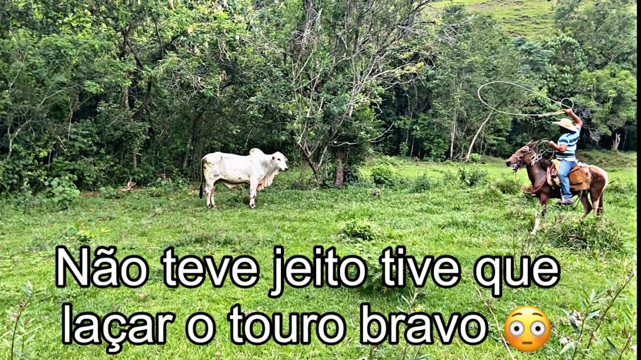 Não teve outro jeito 😳 tivemos que laçar o touro bravo💪🏾#doma #domador