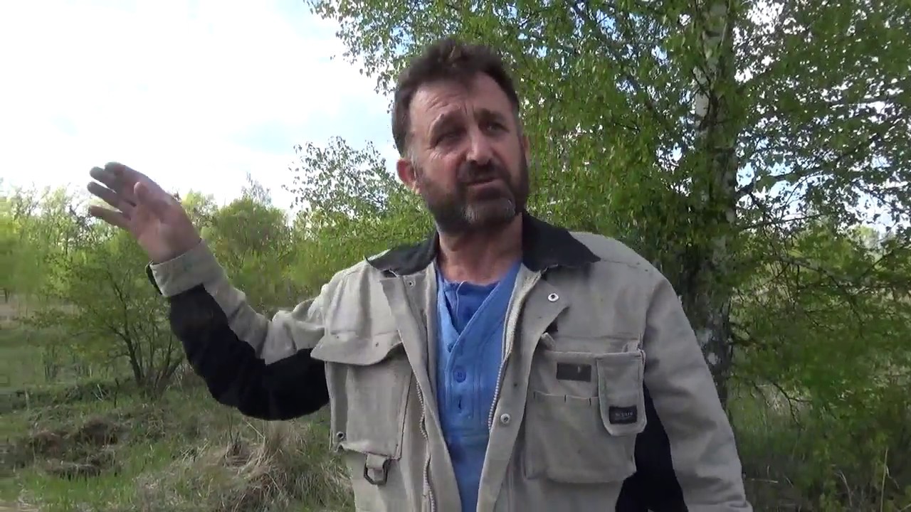 Хотите завести пчел, но нет денег... Часть вторая 