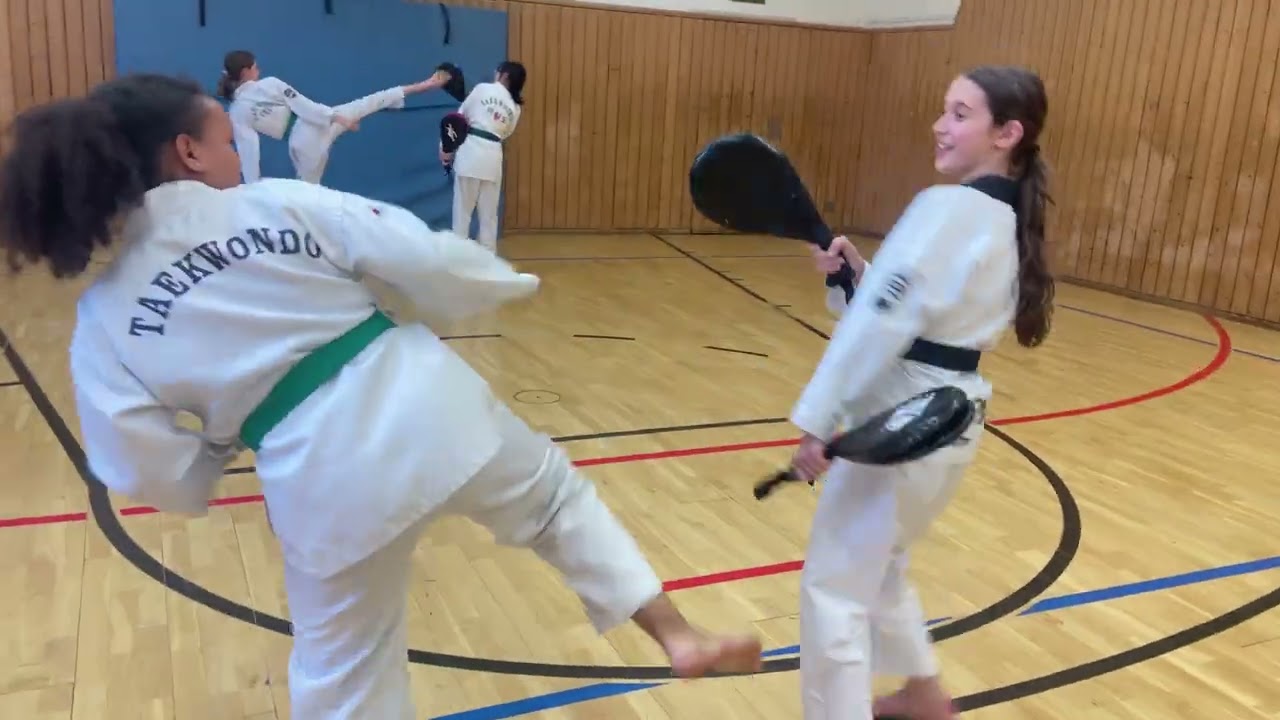 Taekwondo Training Jugend - Elite Frankfurt