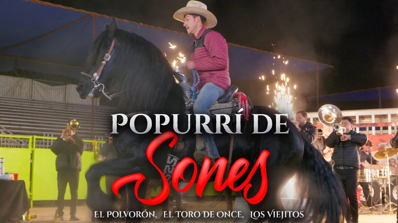 Popurrí De Sones - El Polvorón, El Toro De Once,  Los Viejitos