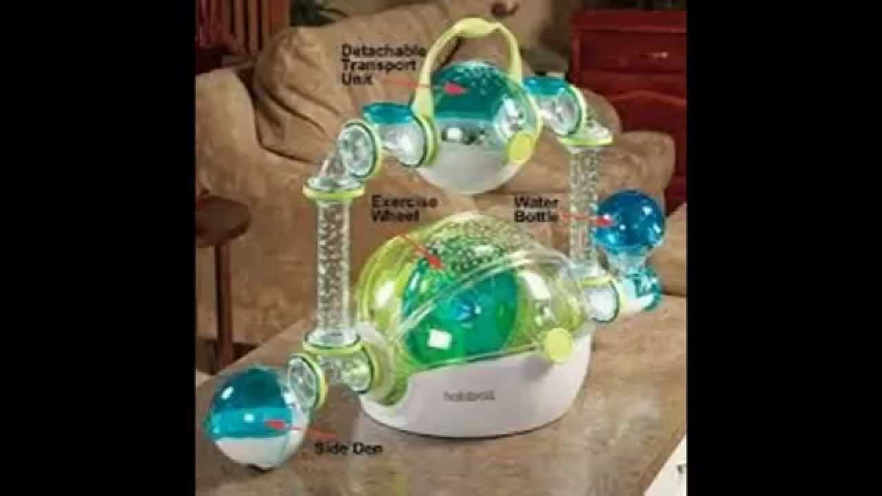 Tipos de jaulas para hamsters