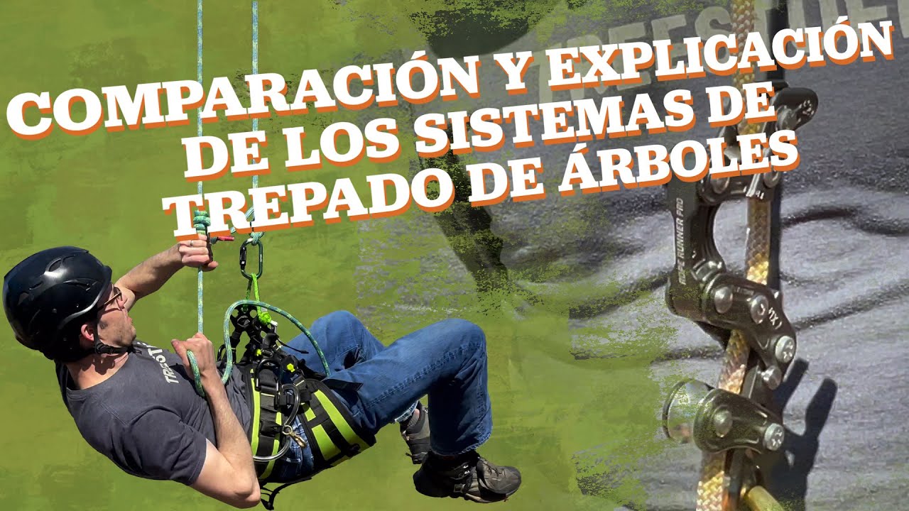 Comparación y Explicación de los Sistemas de Trepado de Árboles - Más Demostración