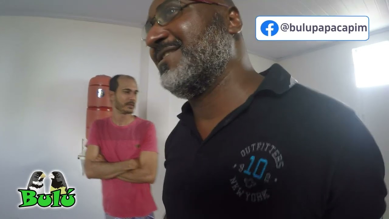 VISITANDO CRIATÓRIO COM MUITAS GENÉTICAS DE COLEIROS FIBRA | BULÚ PAPACAPIM