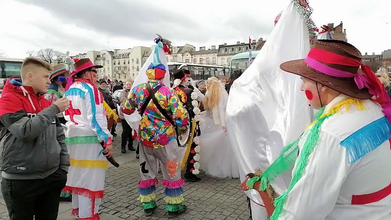 Koza świętosław 2020