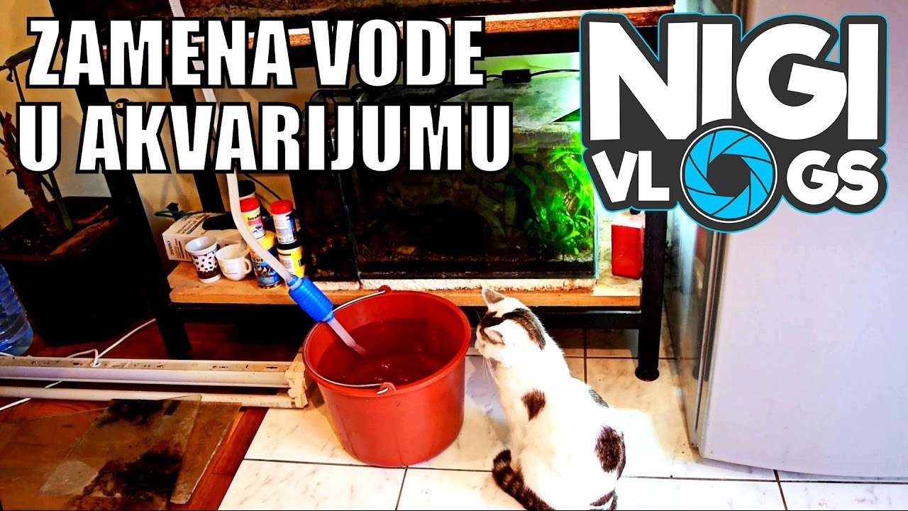 Moj Akvarijum - Menjanje Vode u Akvarijumu - Kako Očistiti Akvarijum? #NigiVlogs