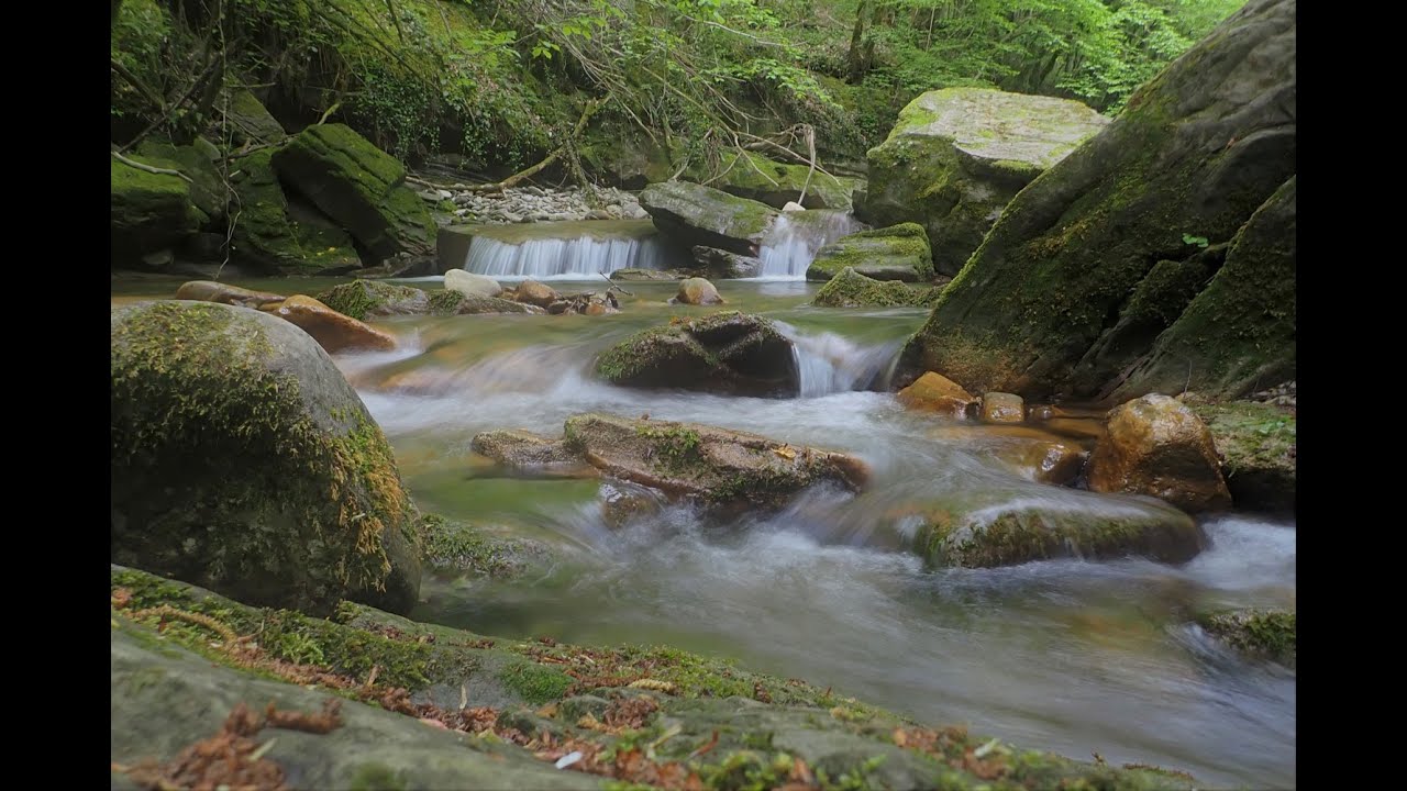 Pesca a mosca in Appennino 2020