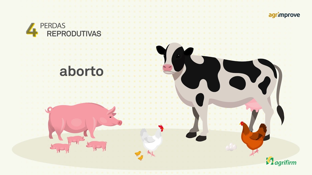 Toxfree - O adsorvente de micotoxinas da Agrifirm