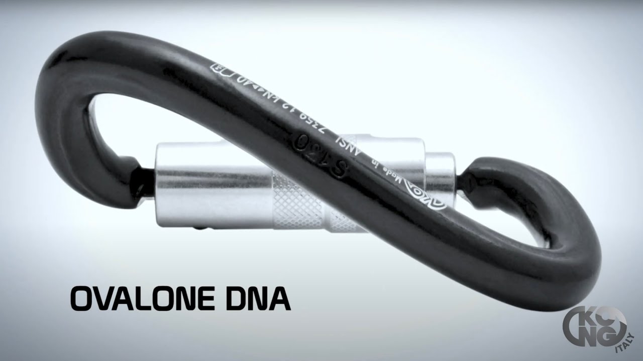 Kong Ovalone DNA