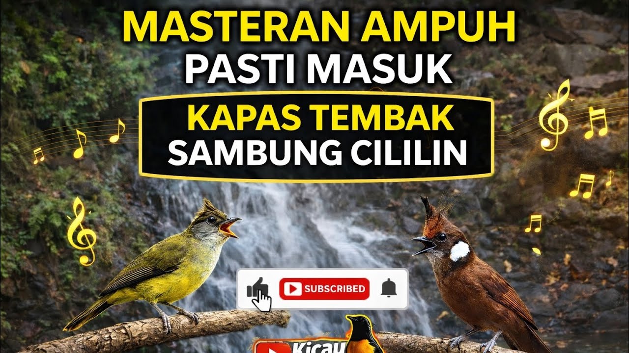 MASTERAN AMPUH KAPAS TEMBAK SAMBUNG CILILIN