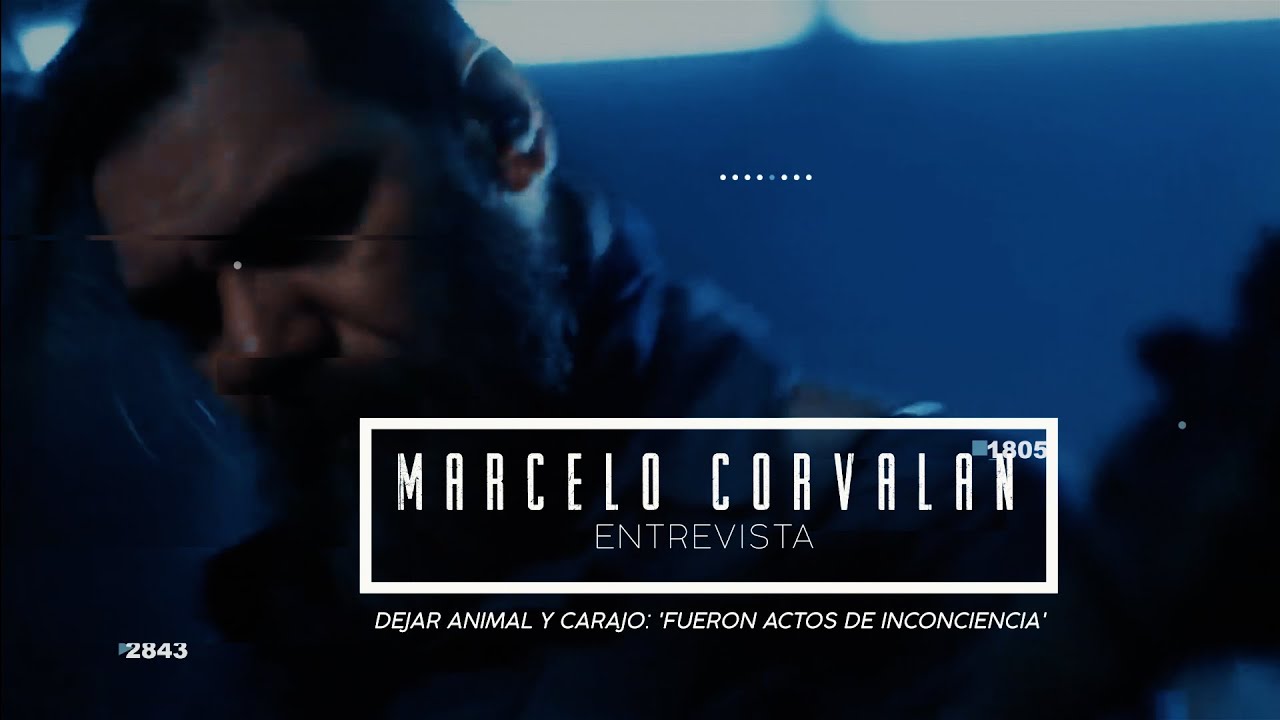 Entrevista   Marcelo Corvalan   Sobre dejar Animal y Carajo