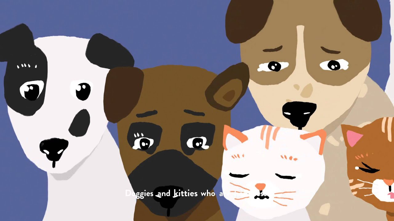 Do You See That Doggie In The Shelter?
