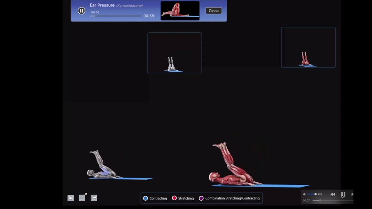 LA PITUITARIA Y EL YOGA