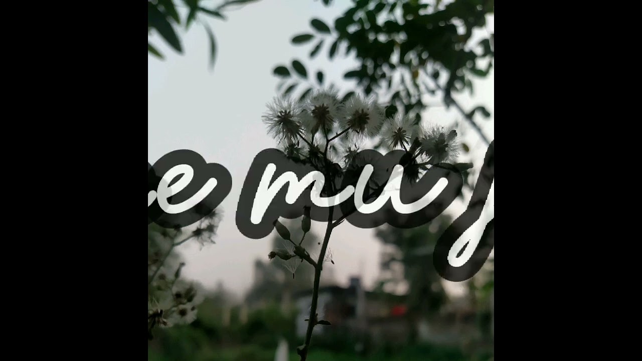 Tu hi Haqeeqat | cover by Parmina D Costa