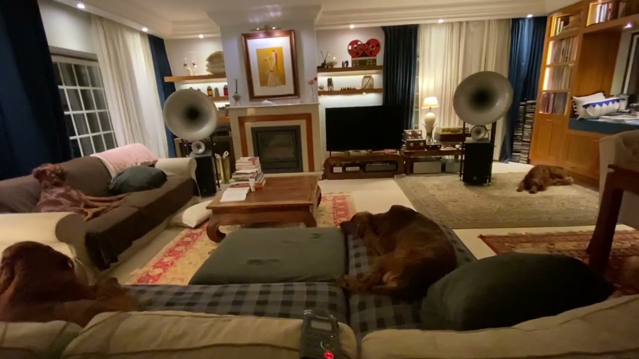 Upgraded ANK DAC 5.1 +Kondo Ongaku Homage Amp + AvantGarde Duo Omega - Wegue Wegue