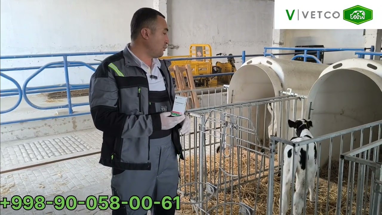 TULATRAMITSIN preparatidan foydalanish haqida video #veterinary #creating