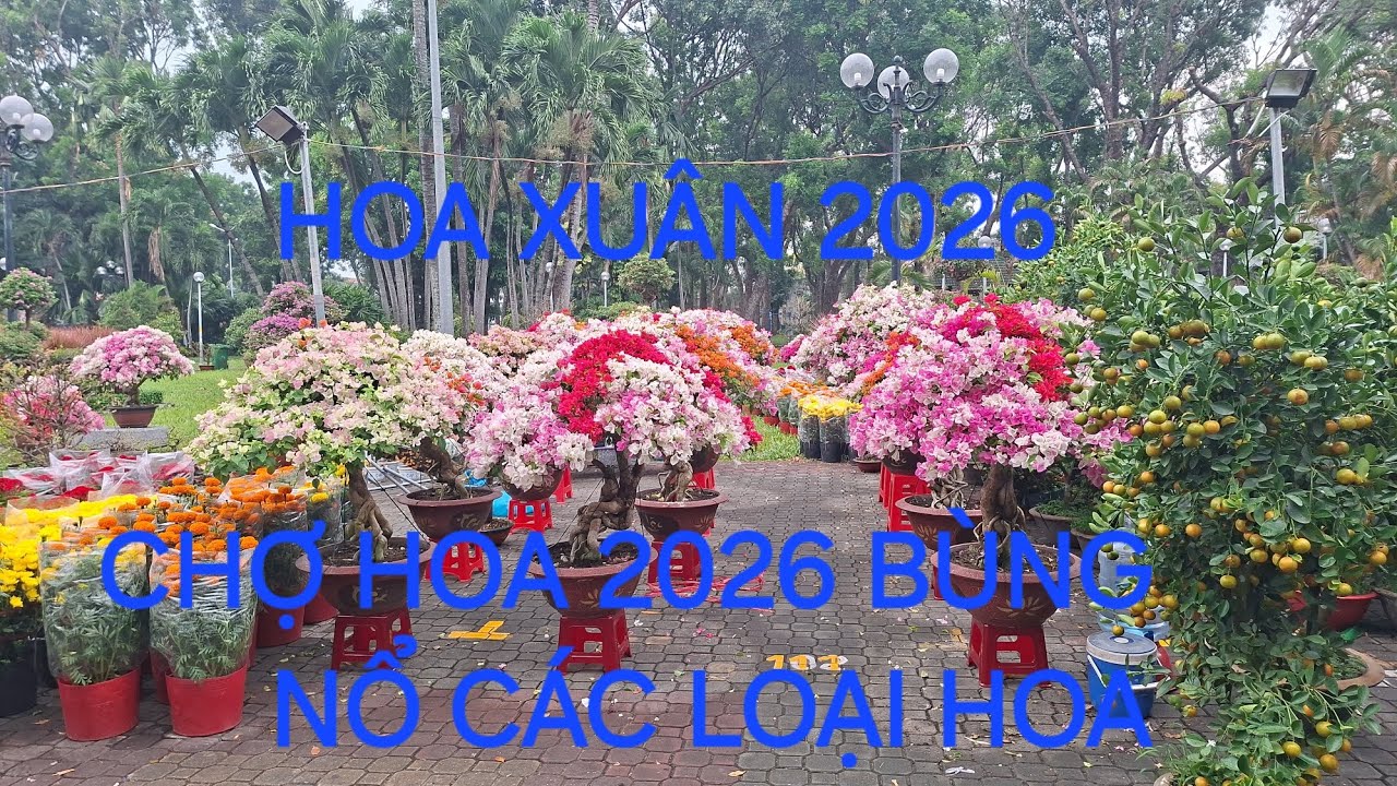CHỢ HOA XUÂN 2026 