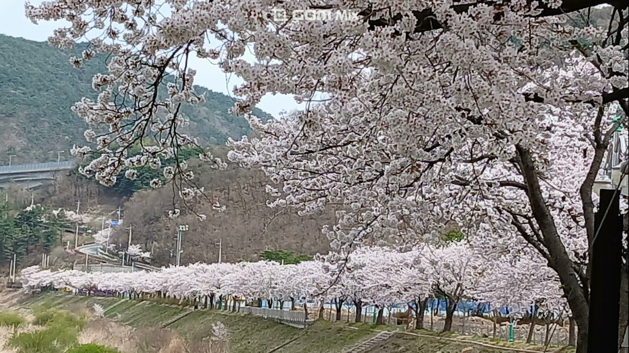 하모니카 연주 [찬양03] 사랑의 종소리 G