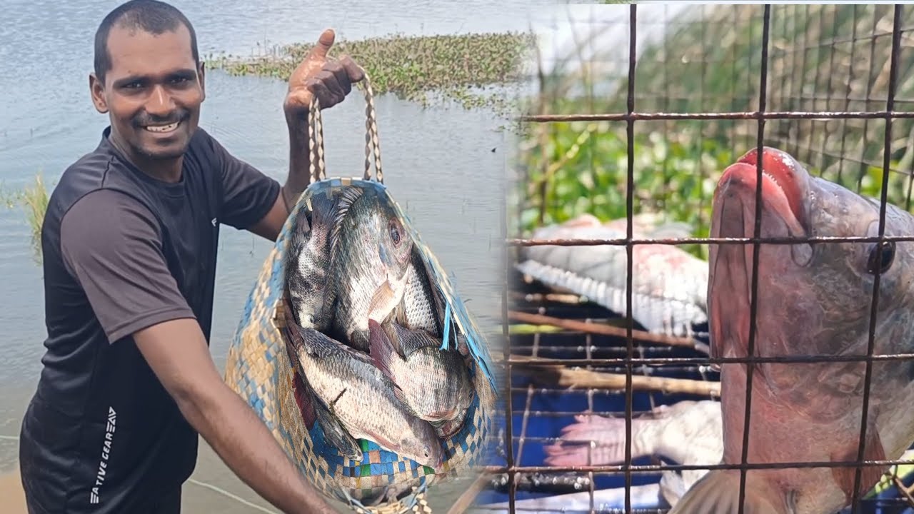 కొత్తగా వచ్చే నీళ్ల పారుదల కి చేపల వేటలో కొన్ని మార్పులు జరిగాయి | #krupahanokfishing
