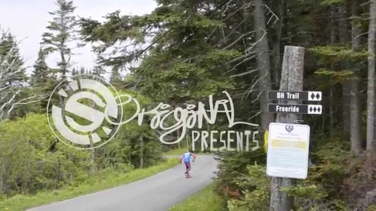 The Family Picnic - Presented By Original - Push Culture News