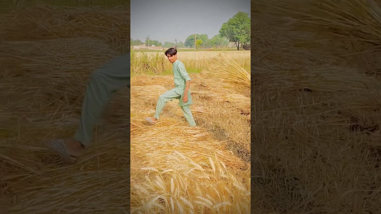 Chal Ghlab Kahi or chlta hay🤣🤣 #viral #funny #ptiofficia #funnypictures #ptioffical #funnyvideos
