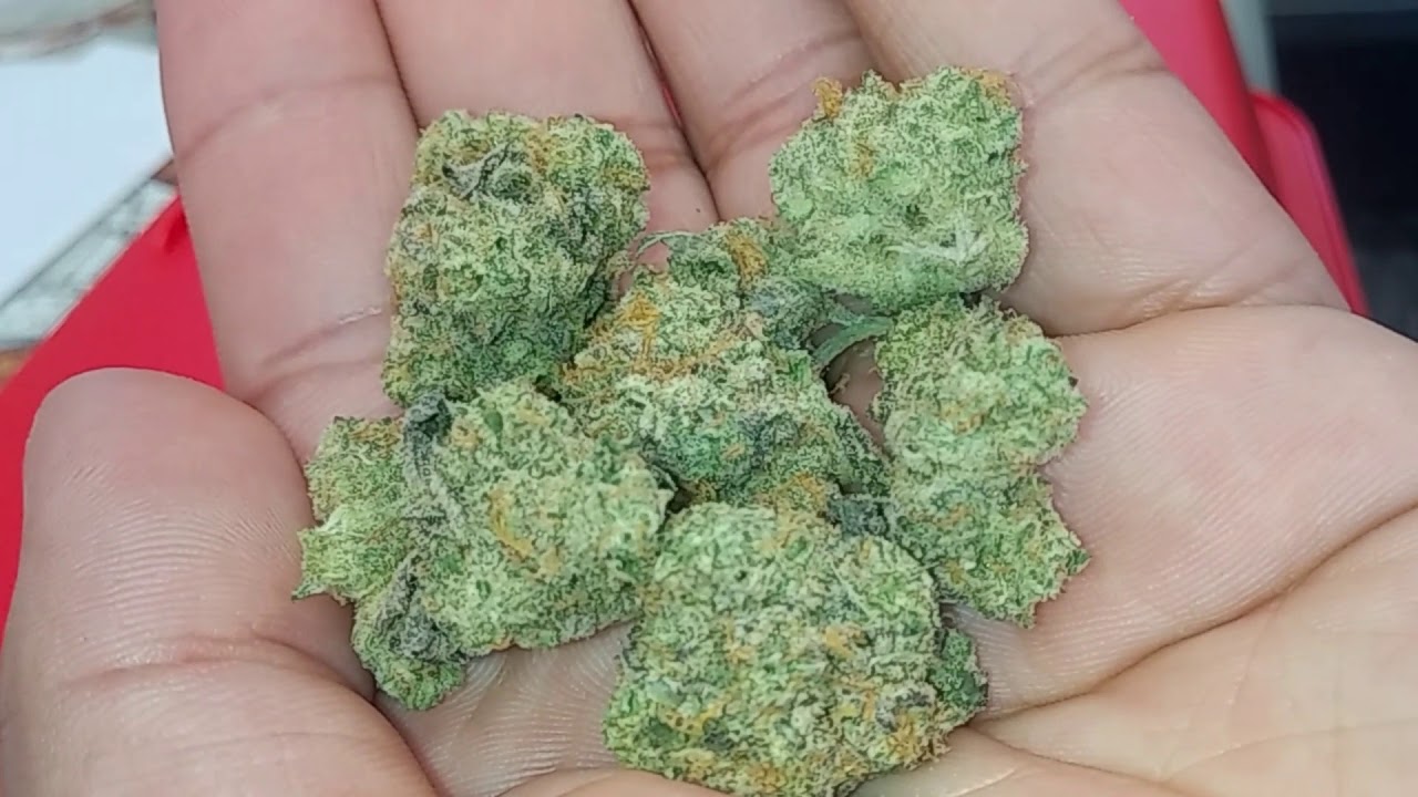 Cheetah Piss By Cookies Official Review #berner415 #cookieswoodlandhills