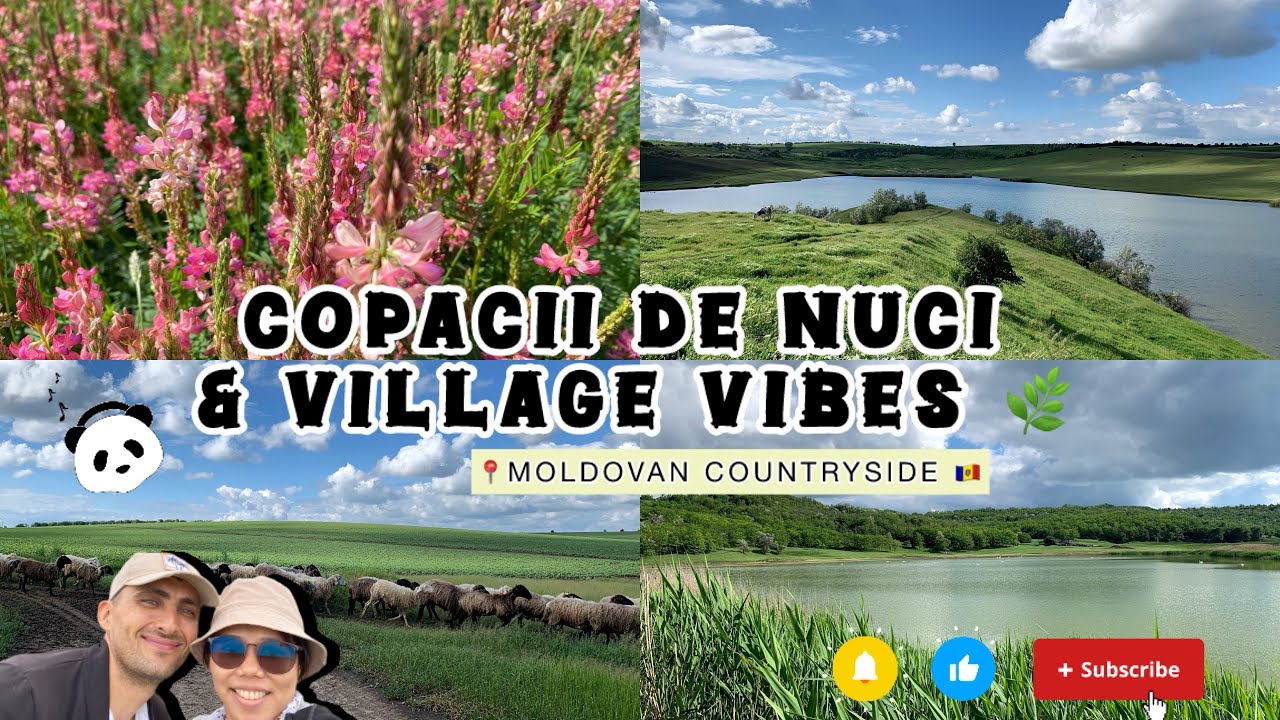 Menjelajahi Pedesaan Moldova 🌾 | Kebunku, Kebun Kacang Kenari 🌰 & Bertemu dengan Domba 🐑