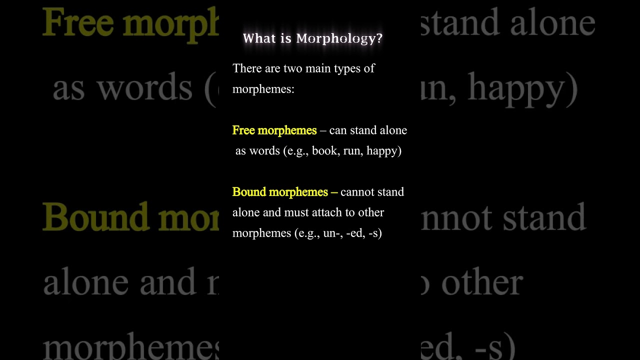 What is Morphology?