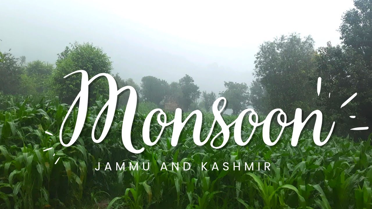 Monsoon Rain Jammu and Kashmir in August 2022 | Live | @travellerpardeep