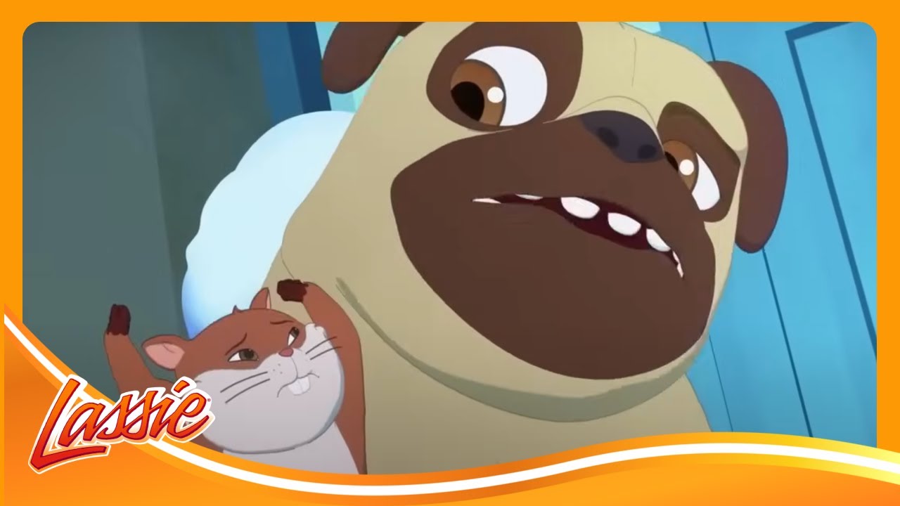 🐶 Dog Helps Save a Snowboarder on the Northern Ridge and more Cartoons for Kids! | Lassie