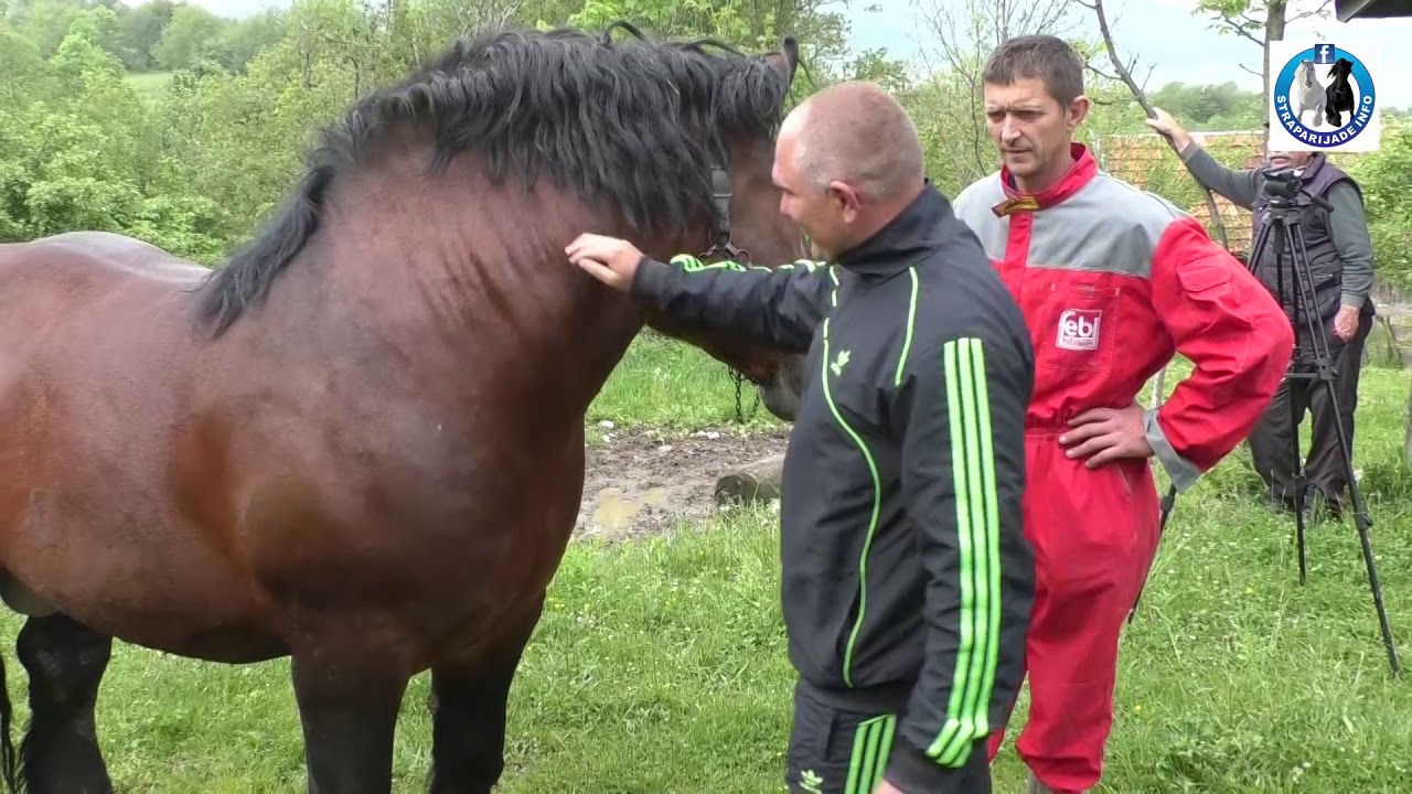 -Život 