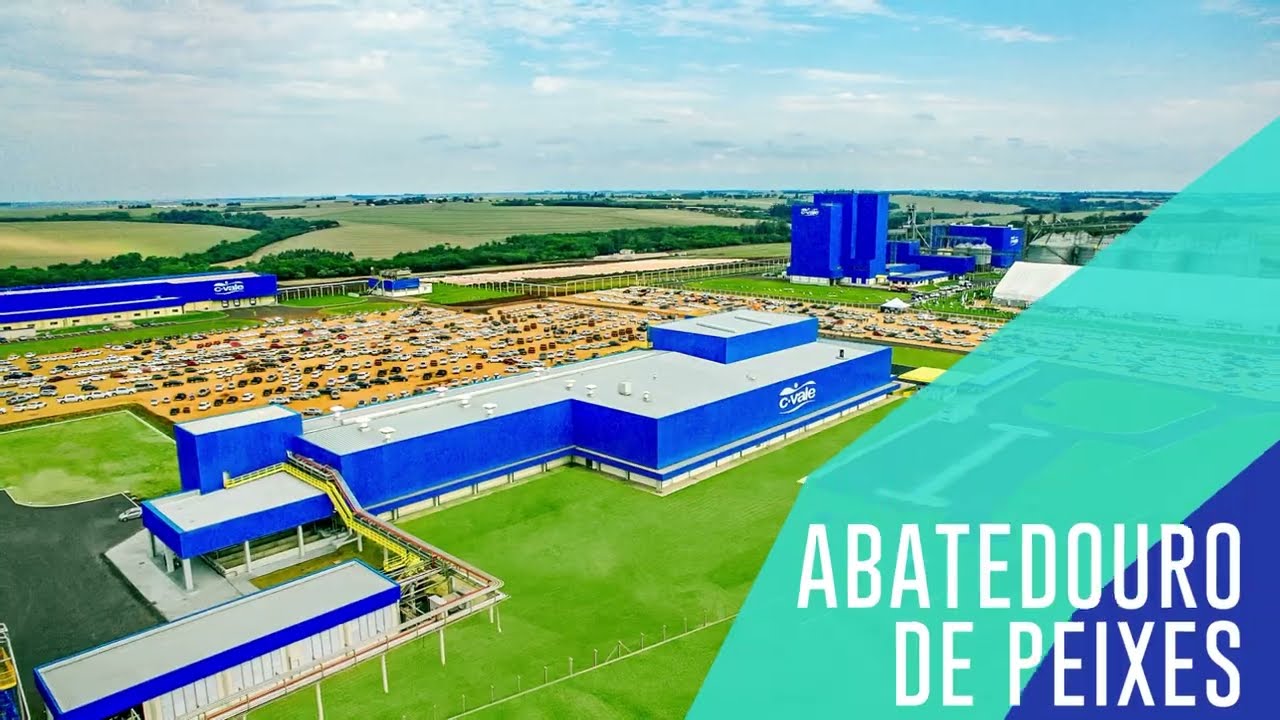 RELATÓRIO ANUAL GERAL  2025