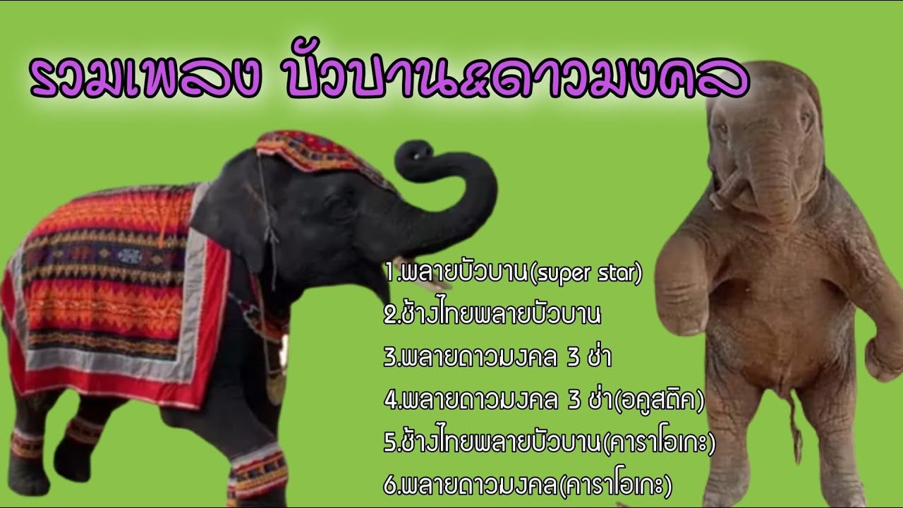 รวมเพลง พลายบัวบานและพลายดาวมงคล(รวมฮิต) ฟังกันยาวๆ