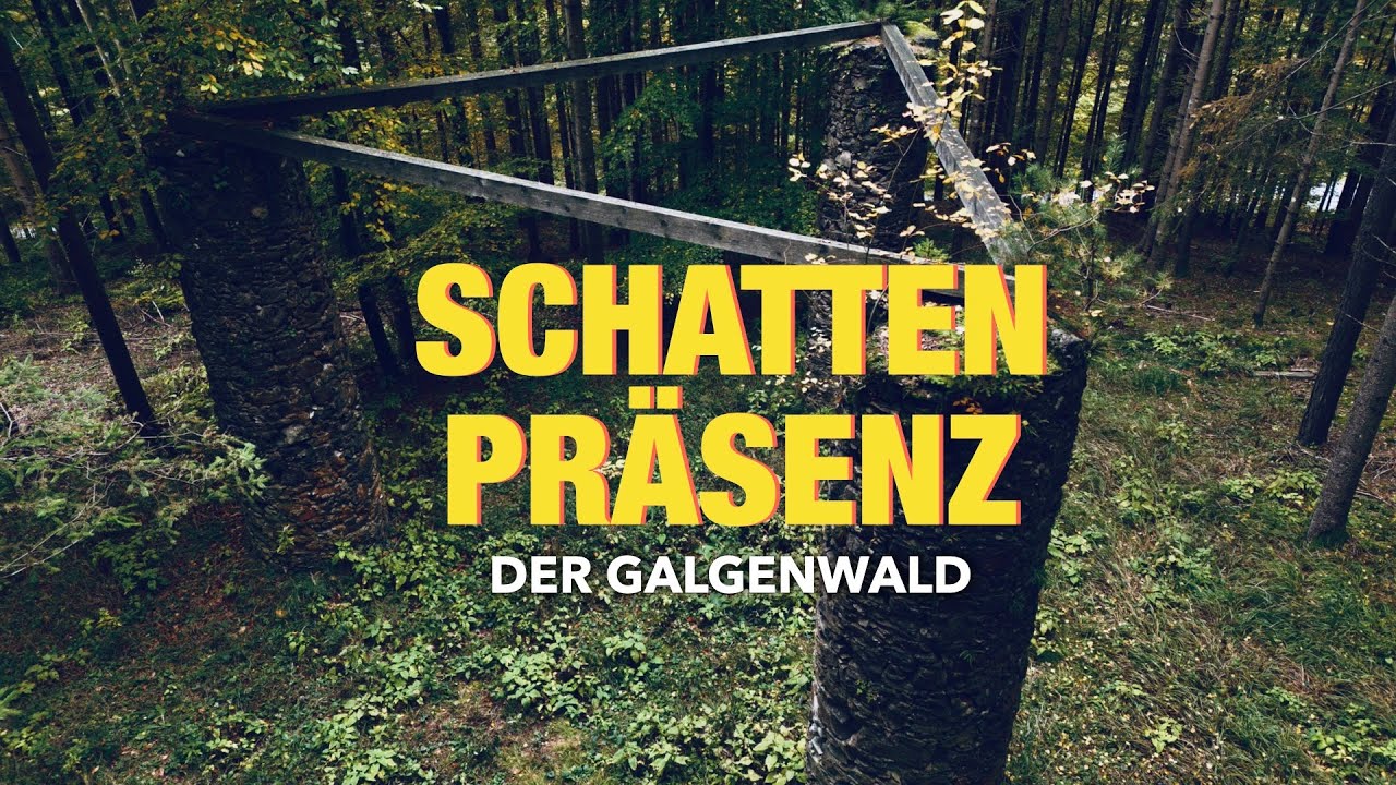 DER GALGENWALD - Verlassene Hinrichtungsstätte mit unheimlicher Wirkung