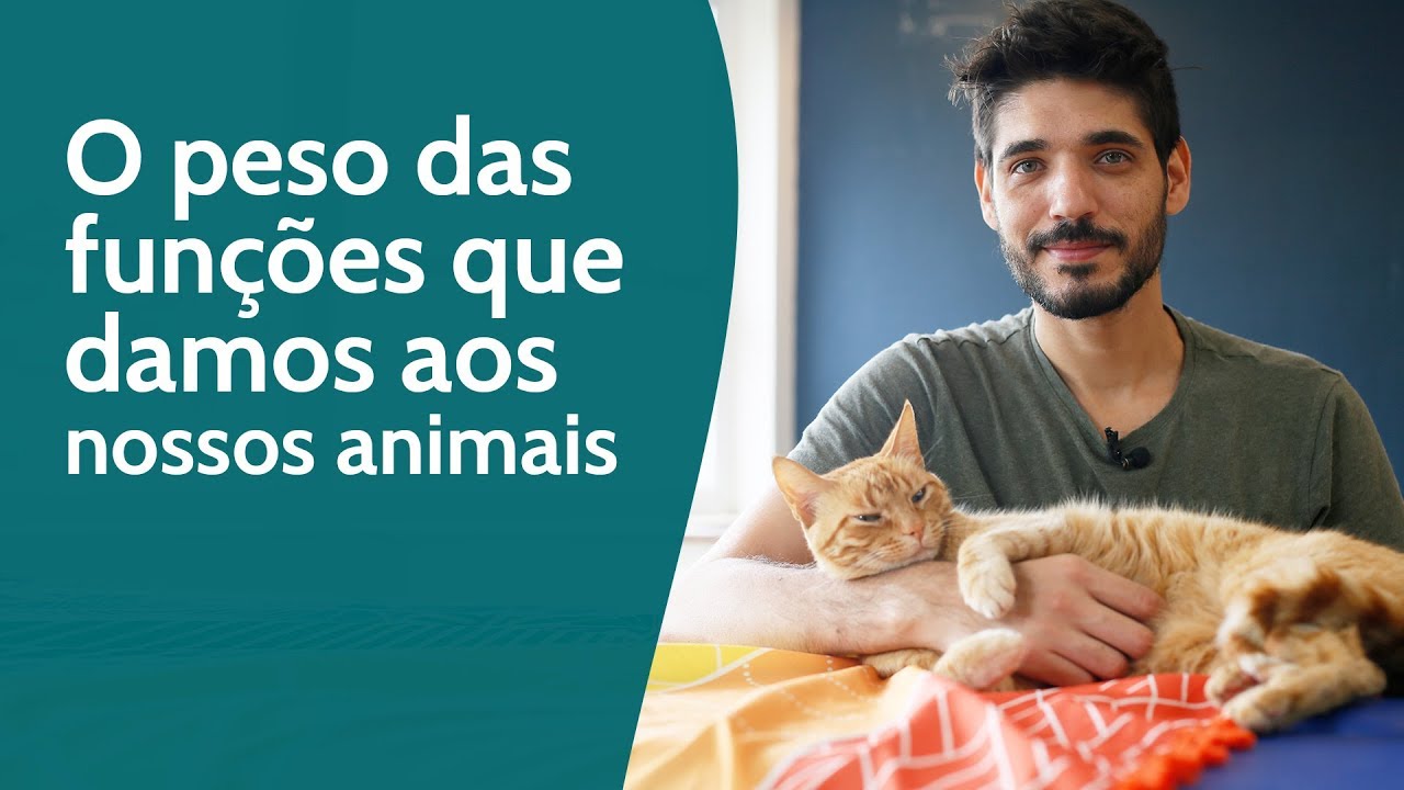 O peso das funções que damos aos nossos animais