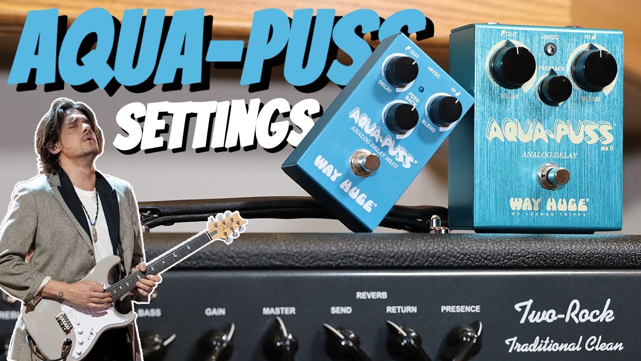 My Tips For Getting Mayer's Aqua Puss Slapback Sound