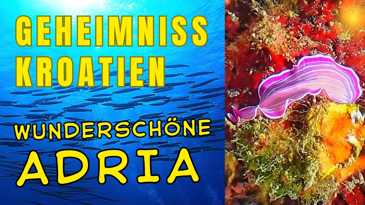 Mittelmeer geheime Unterwasserwelt der Adria. Scuba-Diving With Amazing Fish and Octopus!