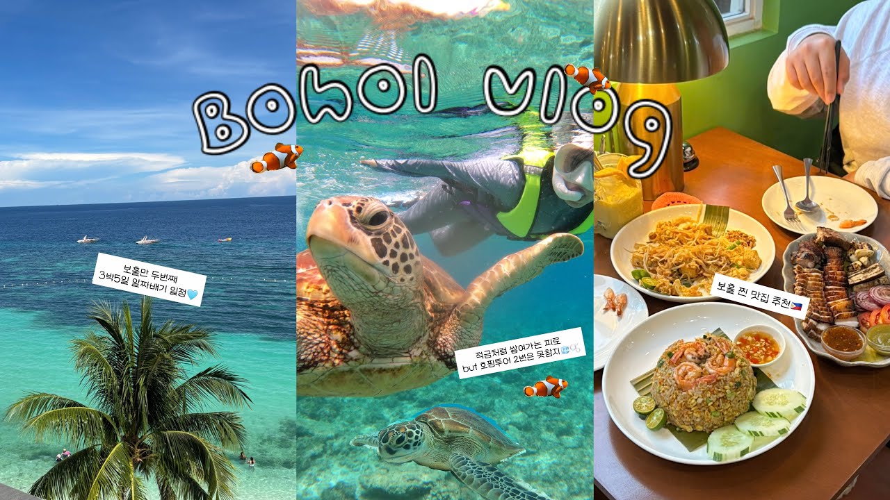 🇵🇭 3박5일 보홀여행 vlog ep.01 | ☆ﾟ.*･｡ﾟ거북아 너보러 또 보홀 왔잖아 .. ! 보홀찐맛집 , 3시간자고 호핑투어하는 브이로그 | 보홀호핑투어, 보홀숙소추천🧊🫧