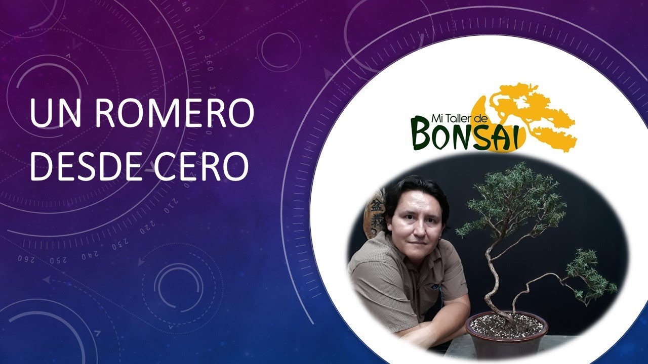 Un ROMERO desde CERO