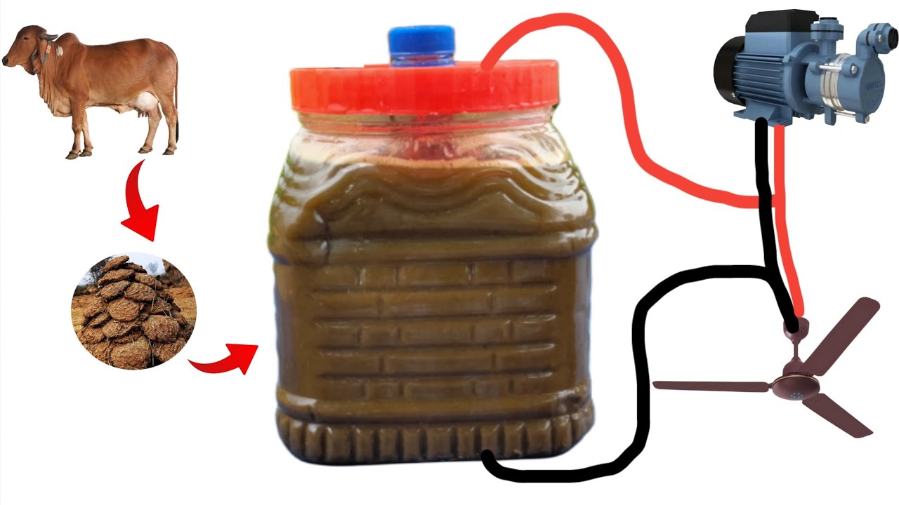 I Turn Cows Dung into a Free 220v Battery, Lifetime electricity | bk exprimemt