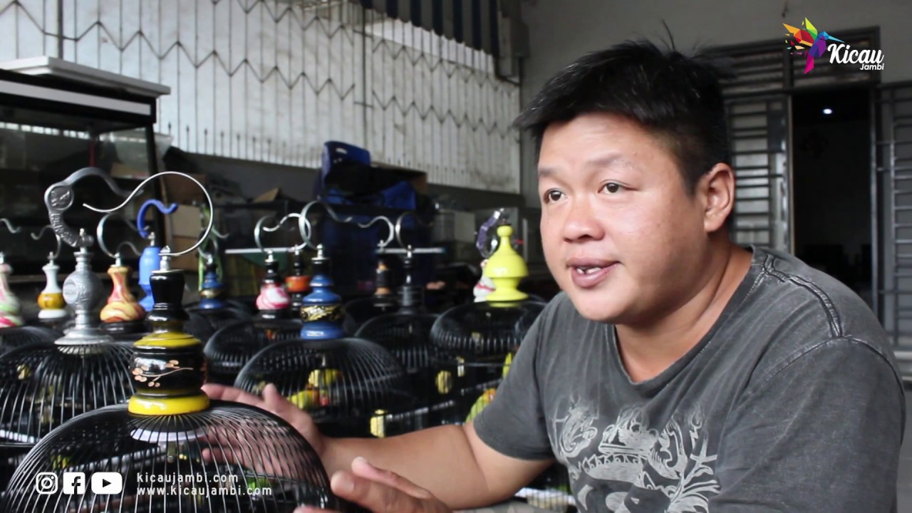 BELI LOVE BIRD, TEMPAT INI JUAL LOVE BIRD DARI INDUKAN BERPRESTASI