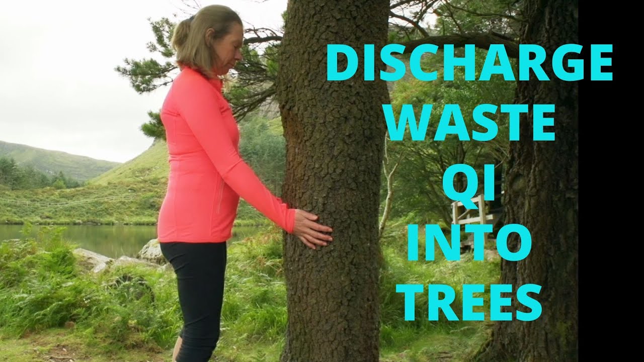Discharge Waste Qi Into Trees Qigong Video Snippet | Qigong For Beginners