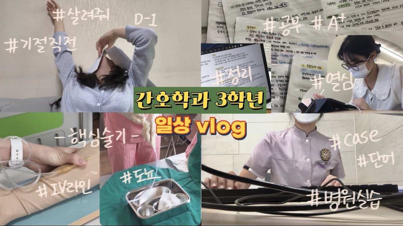 [경1인 크리에이터] 간호학과 3학년 일상 대학생 브이로그VLOG