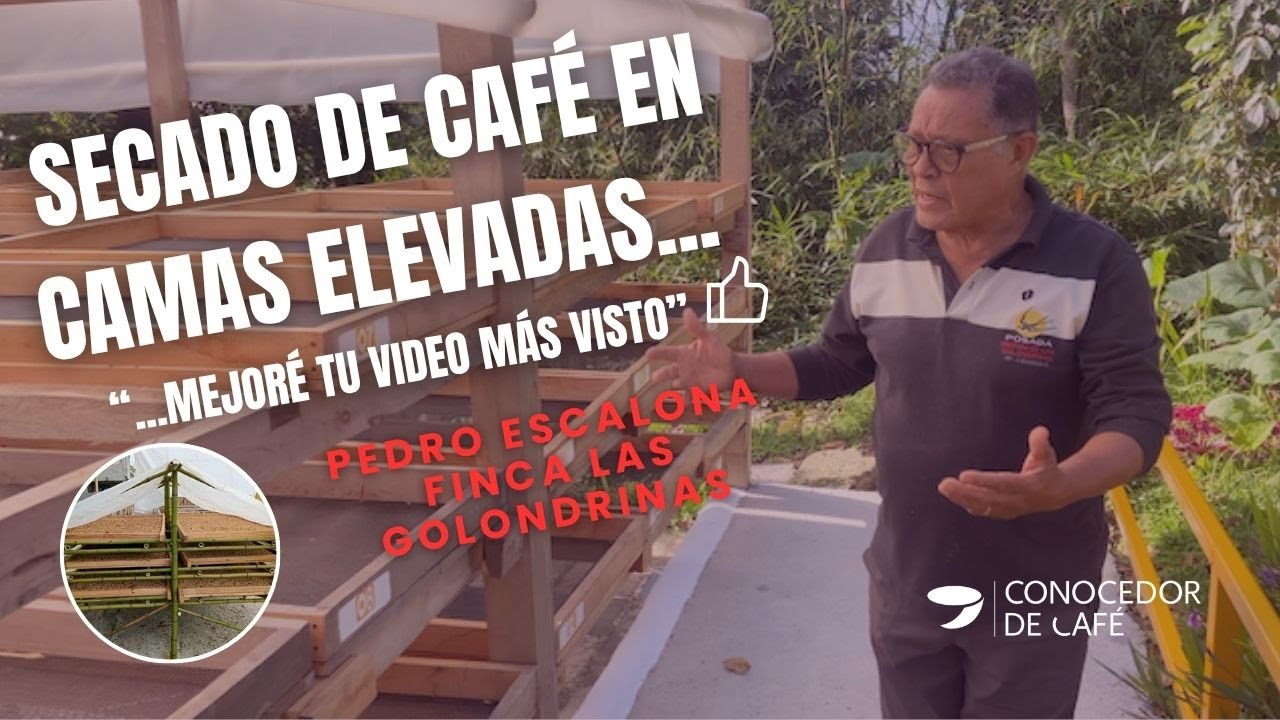 Desarrolla tu propia cama de secado de café siguiendo el manual de 
